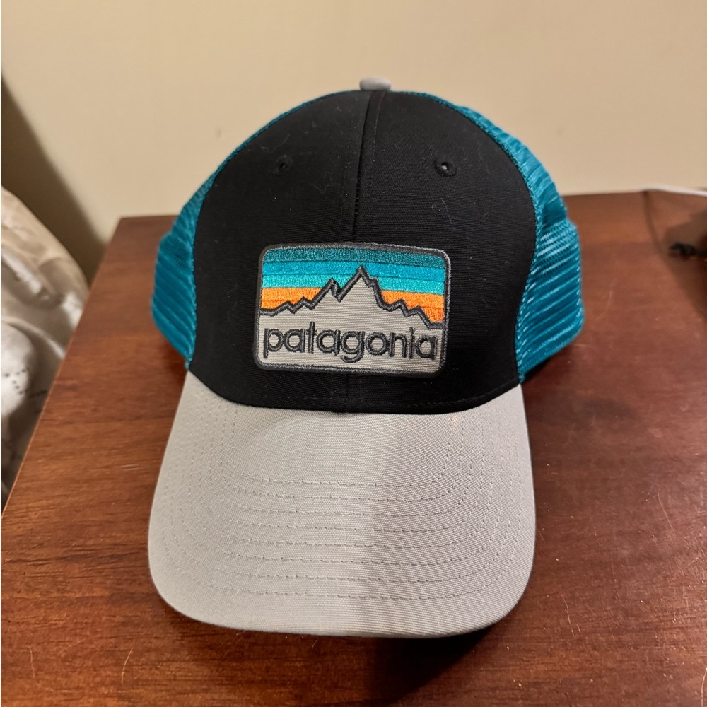 Patagonia trucker hat, nwot